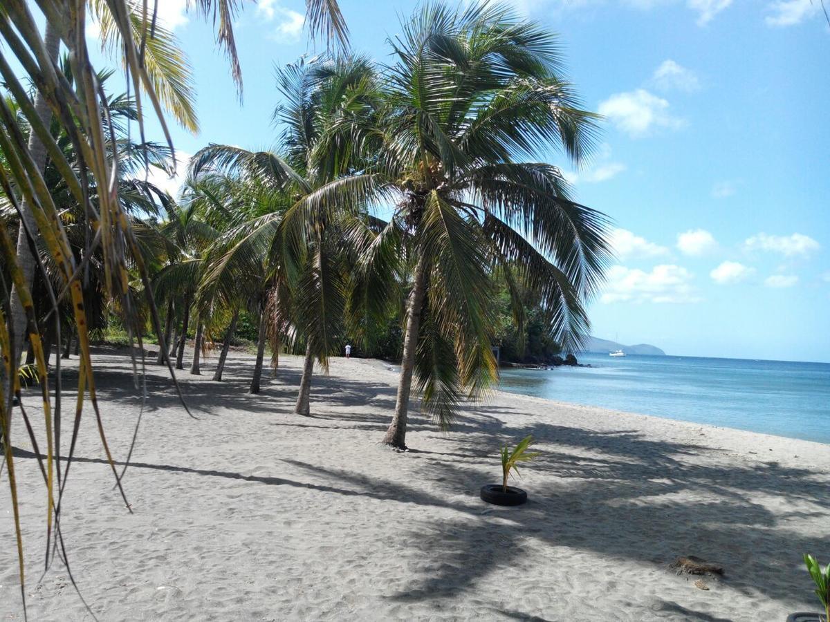 Résidence madiana plage Schoelcher Exterior foto