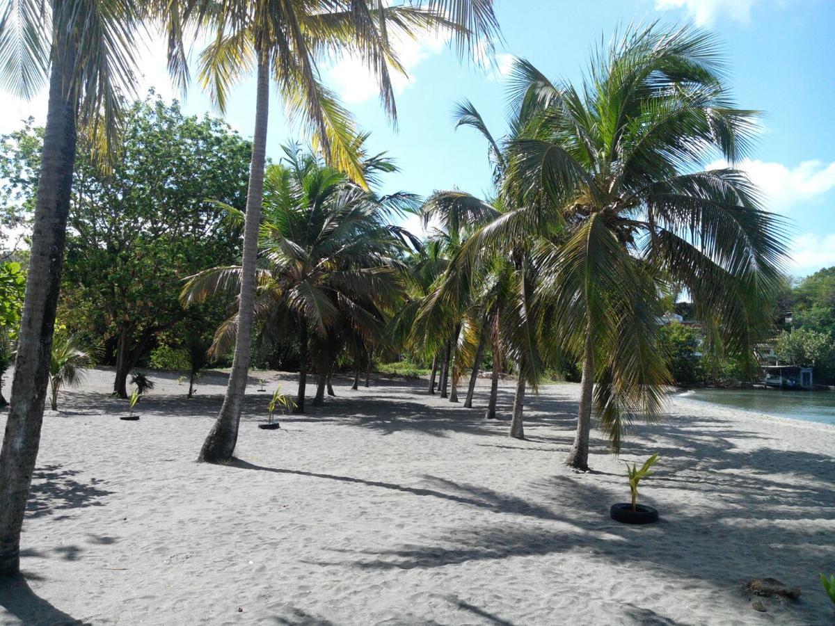 Résidence madiana plage Schoelcher Exterior foto